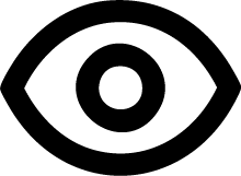Vision 01